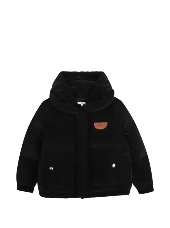 Donsjas_Bruin