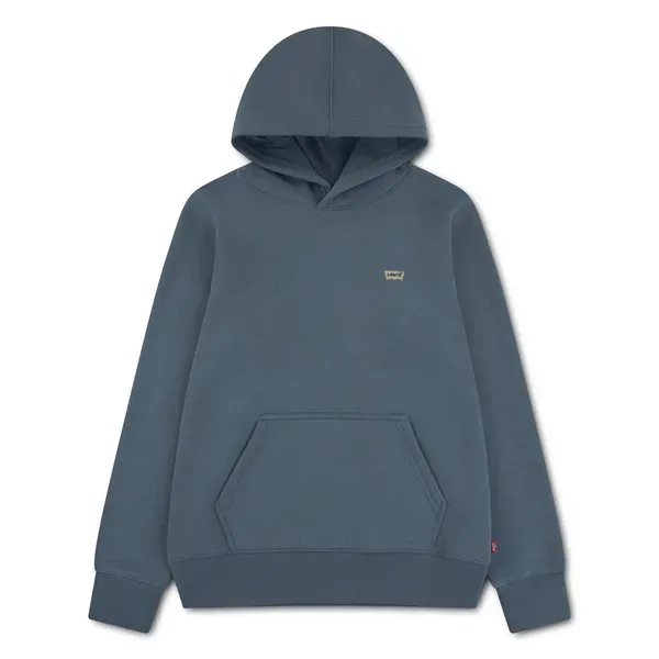 LVB_MINI_BATWING_HOODIE_Groen_1