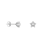 Pearl_Stud_Earring_One_Piece_Zilver