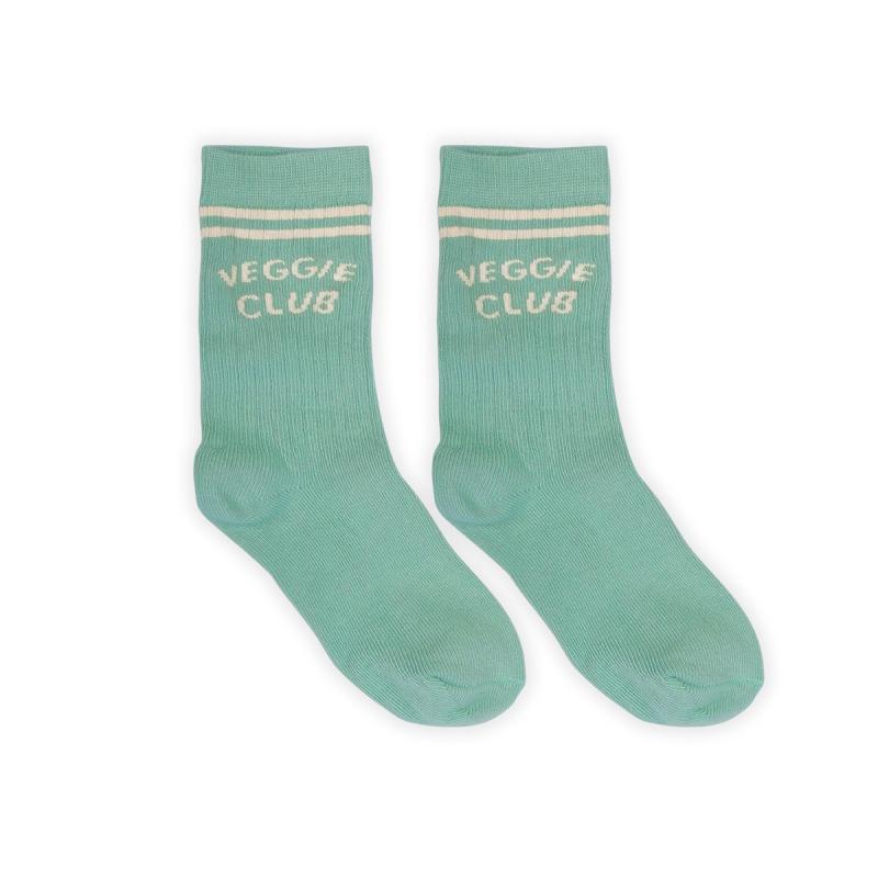 SPORT_SOCKS_STRIPES_BOTANICAL_GREEN_Groen