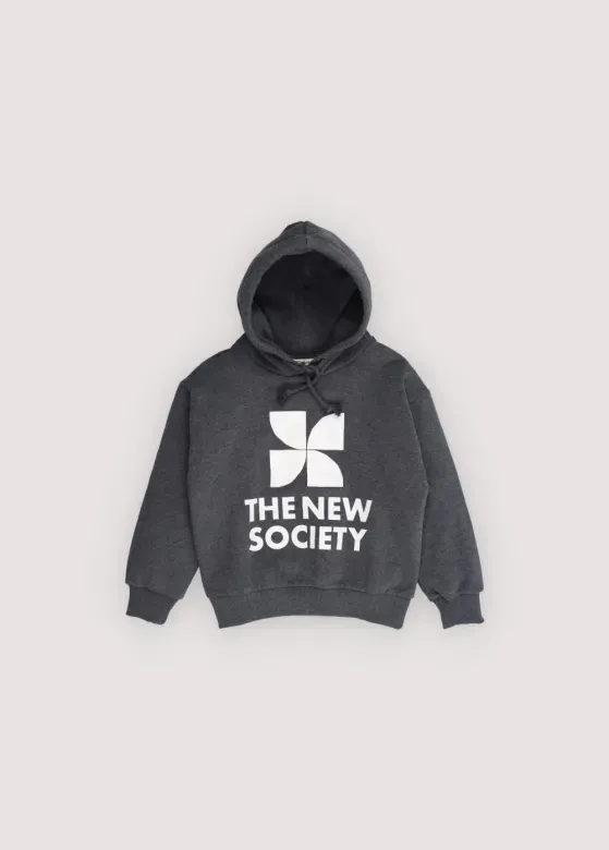 TNS_Logo_Hood_sweathirt_Grijs