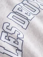 Aidan_Hoodie__Grijs