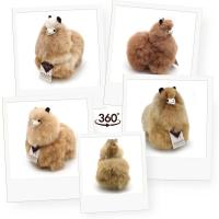 Alpaca_S_Creme_2