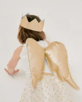 Angel_wings_1