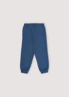 Artic_Jogging_Blue_Steel_Blauw_1