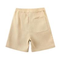 Cyriel_shorts_Taupe_1