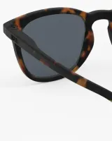 KIDS_5_7_E_Tortoise_Bruin_3