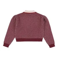 Knitted_polo_zug_merino_persian_Rood_1