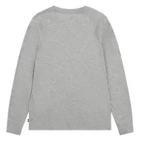 LVB_L_S_BATWING_CHESTHIT_TEE_Grijs