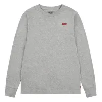 LVB_L_S_BATWING_CHESTHIT_TEE_Grijs_1