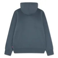 LVB_MINI_BATWING_HOODIE_Groen