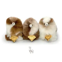 Limited_Edition___Mini__15cm__