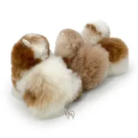 Limited_Edition___Mini__15cm___1