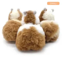 Limited_Edition___Small__23cm___1