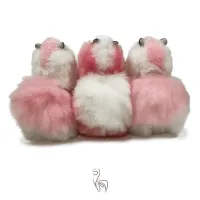 Limited_Edition___Small__23cm___8