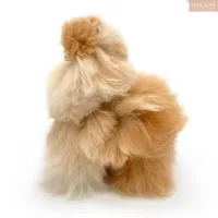 Monsterfluff___Medium__32cm___4