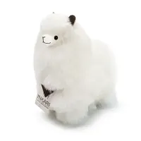 Naturals___Small__23cm___2