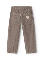 Pando_bottom_Bruin_1