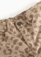 Pando_chino__Bruin_2