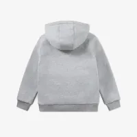 Pullover_Hoodie_Grijs