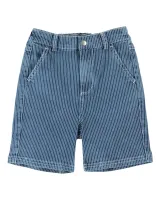 SHORT_FITTE_DENIM_RAYE_Blauw