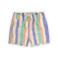 SWIM_SHORTS_MULTI_COLOUR_STRIPES_Multi