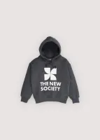 TNS_Logo_Hood_sweathirt_Grijs