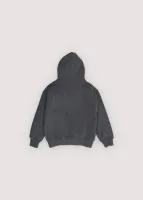 TNS_Logo_Hood_sweathirt_Grijs_1