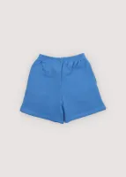 TNS_Logo_Short_Iris_Whisper_Blauw_1