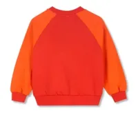 Wynk_Raglan_Rood_1