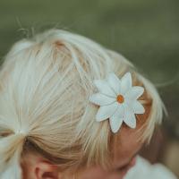 Zaza_fields_hairclip___Daisy_Multi_2