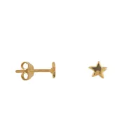 _Mini_Star_Stud_Earring_Gold_Plated_Goud