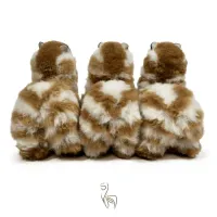 Limited_Edition_Medium_