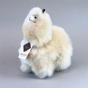 Alpaca_11