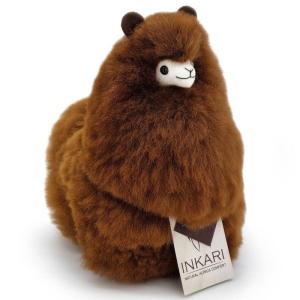 Alpaca_S_Bruin