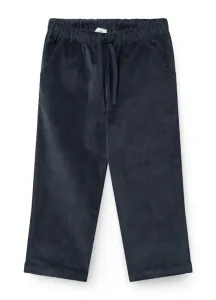 CORDUROY_PANT__Blauw