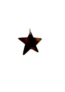 Charm_Leopard_Star_Gold_Plated_
