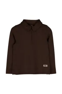 Ferry_Brown_choco_Bruin