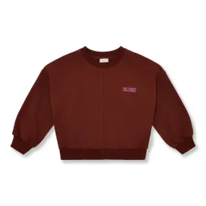 LUCA_SWEATER__Bruin