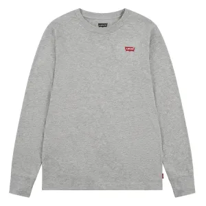 LVB_L_S_BATWING_CHESTHIT_TEE_Grijs_1