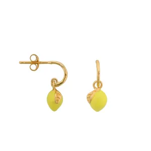 Lemon_stud_earing_Goud