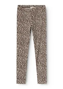 Leo_leg_brown_Bruin