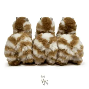 Limited_Edition_Medium_