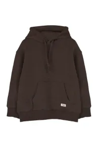 Moose_Brown_Choco_Bruin