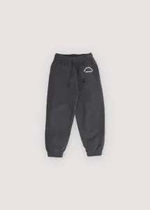 Nico_Pants_Grijs