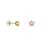 Pearl_Stud_Earring_One_Piece_Goud