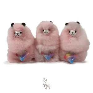 Rainbows___Mini__15_cm__Roze