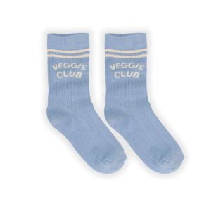 SPORT_SOCKS_STRIPES_BREEZY_BLUE_Blauw