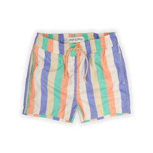 SWIM_SHORTS_MULTI_COLOUR_STRIPES_Multi