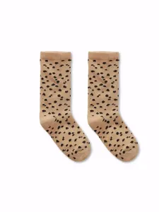 Socks_Animal_Bruin